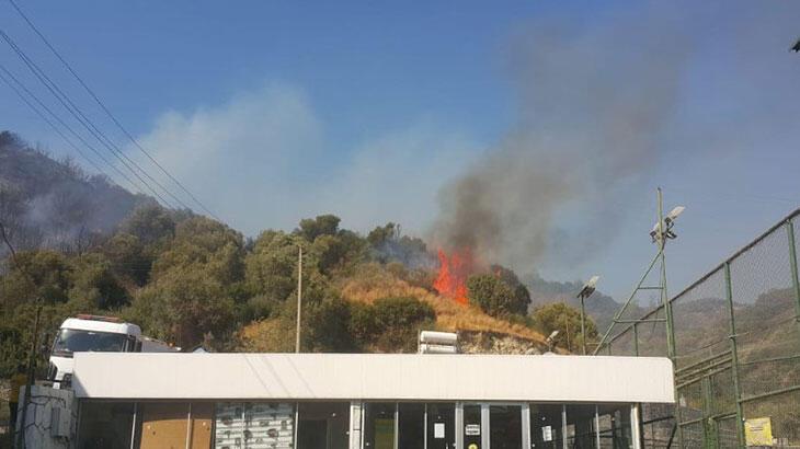 Aydın'da makilik alanda yangın! 2 okul tedbiren boşaltıldı