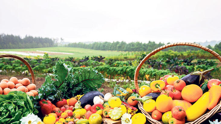 Bağışıklığınızı güçlü tutmak için 10 öneri