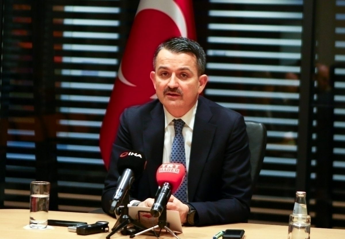 Bakan Pakdemirli: 