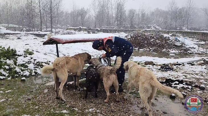 Bakan Soylu paylaştı: Onlar bizim can dostlarımız