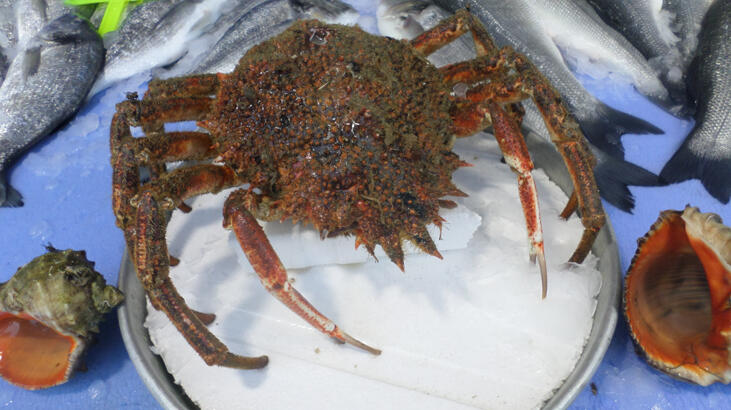 Balıktan daha pahalı!