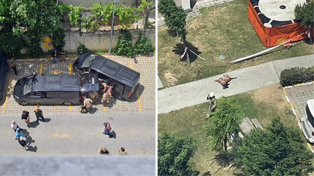 Başakşehir'de emekli polis dehşeti: Ailesini rehin aldı, köpeği öldürüp camdan aşağıya attı