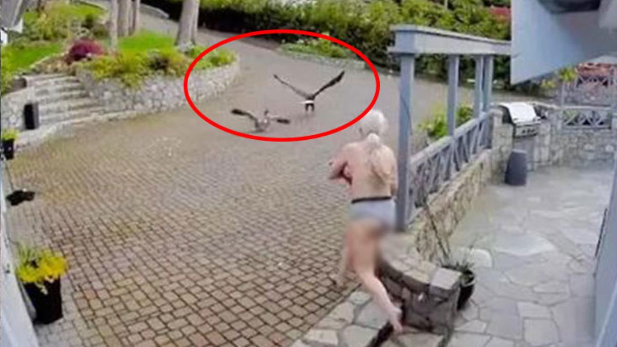 Bebeğini emziren kadın, kartalın kazı öldürdüğünü görünce çıplak halde yardıma koştu 