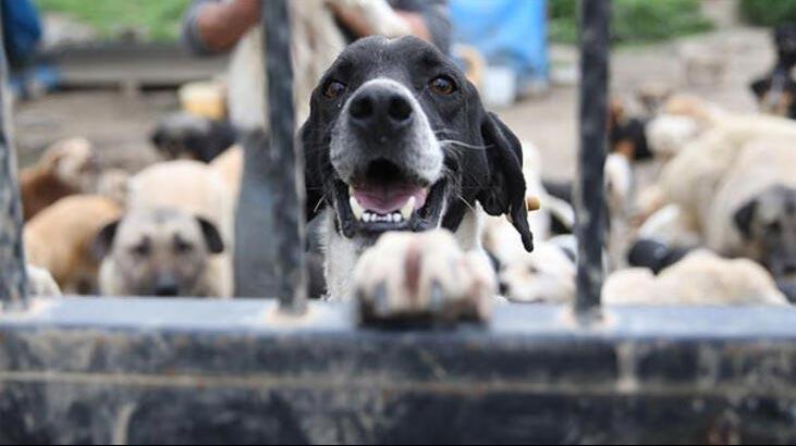 Beklenen yasa gündeme gelmiyor