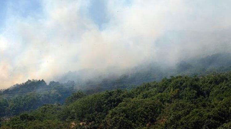 Bingöl'deki orman yangını 3'üncü gününde