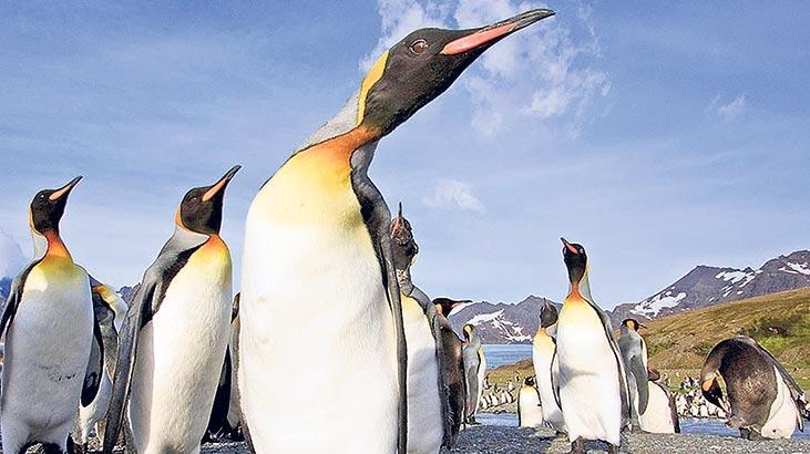 Bir parça daha koptu