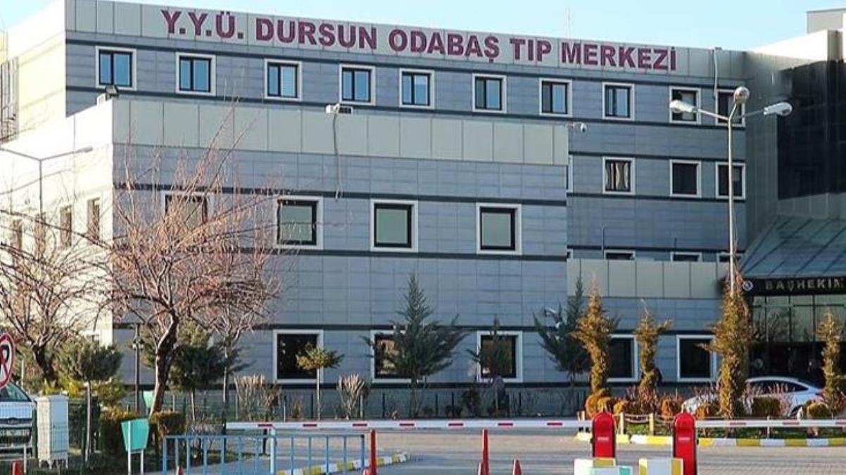 Bir sahte diploma skandalı da Van'dan! 11 yıllık yalanı yapılan ihbar bozdu
