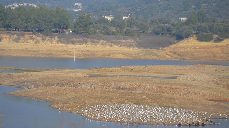 Bodrum için korkutan uyarı! Yüzde 26'ya geriledi...