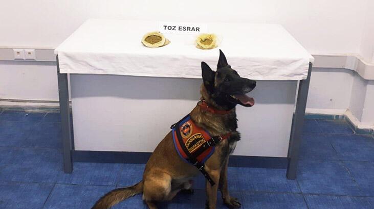 Bodrum’da uyuşturucu operasyonu! 7 kişi gözaltına alındı