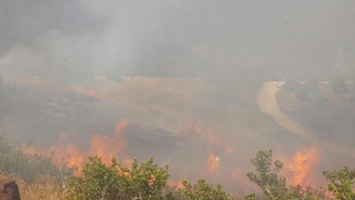 Bodrum'da yangın paniği! 1,5 saatte kontrol altına alındı