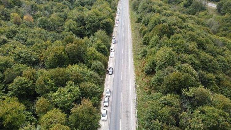 Bu da kestane kuyruğu! Akın ettiler