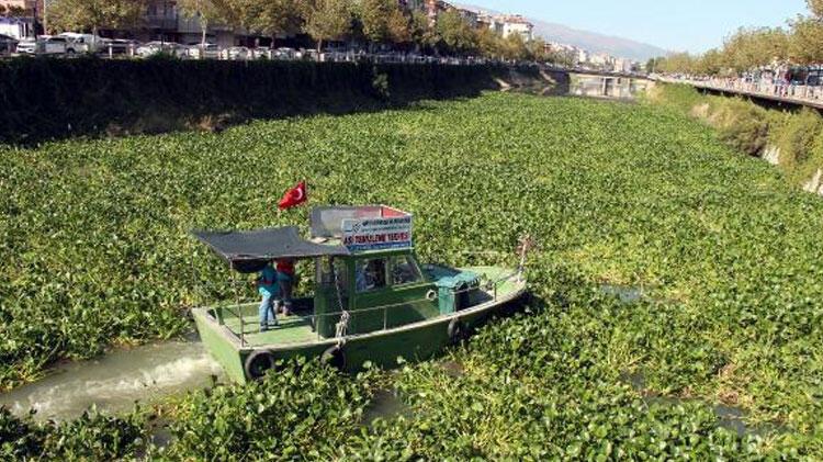 Burası Asi Nehri! Hatay'dan şaşırtan fotoğraflar