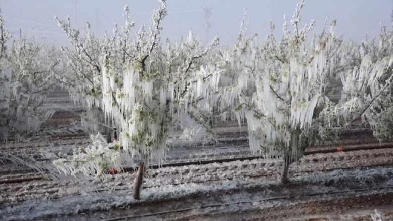Bursa Valiliği'nden son dakika uyarısı!