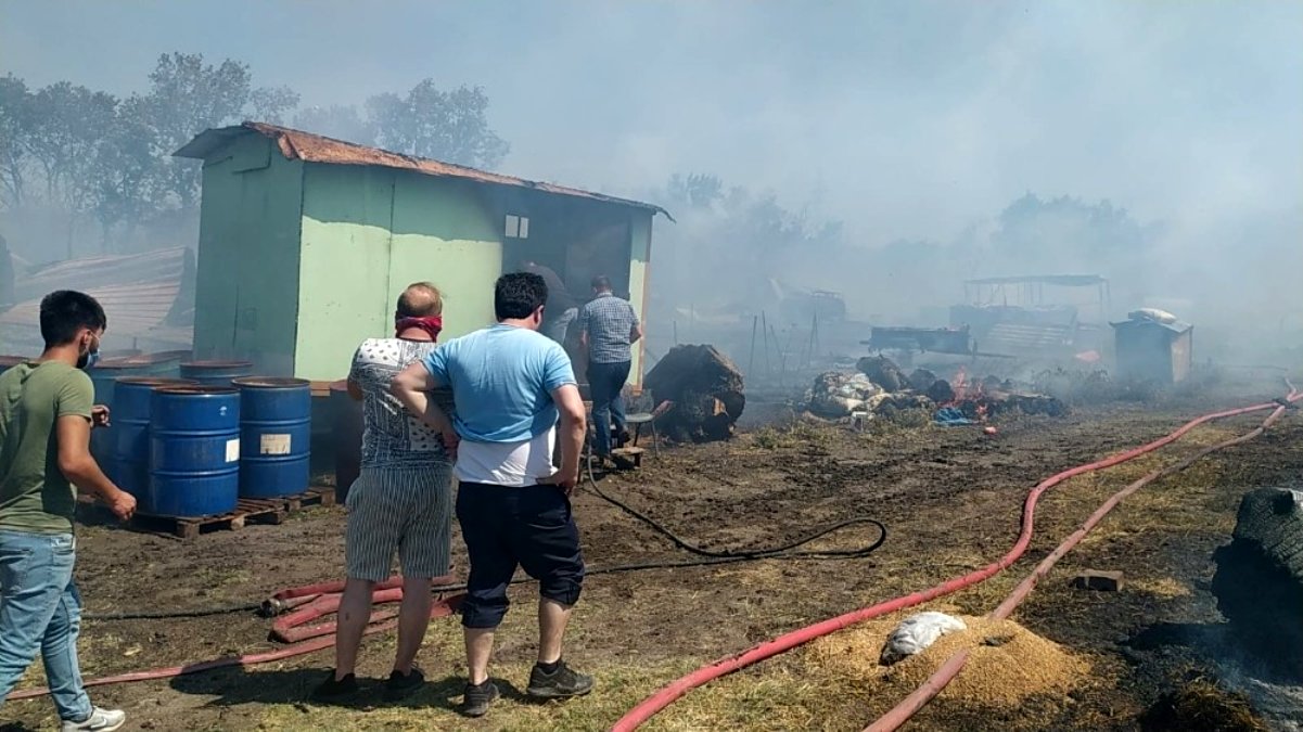 Bursa'da çiftlikte çıkan yangın ormana sıçradı: 20 küçükbaş telef oldu
