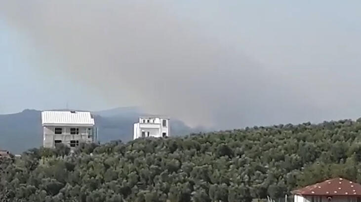 Bursa'da ormanlık alanda çıkan yangın kontrol  altına alındı