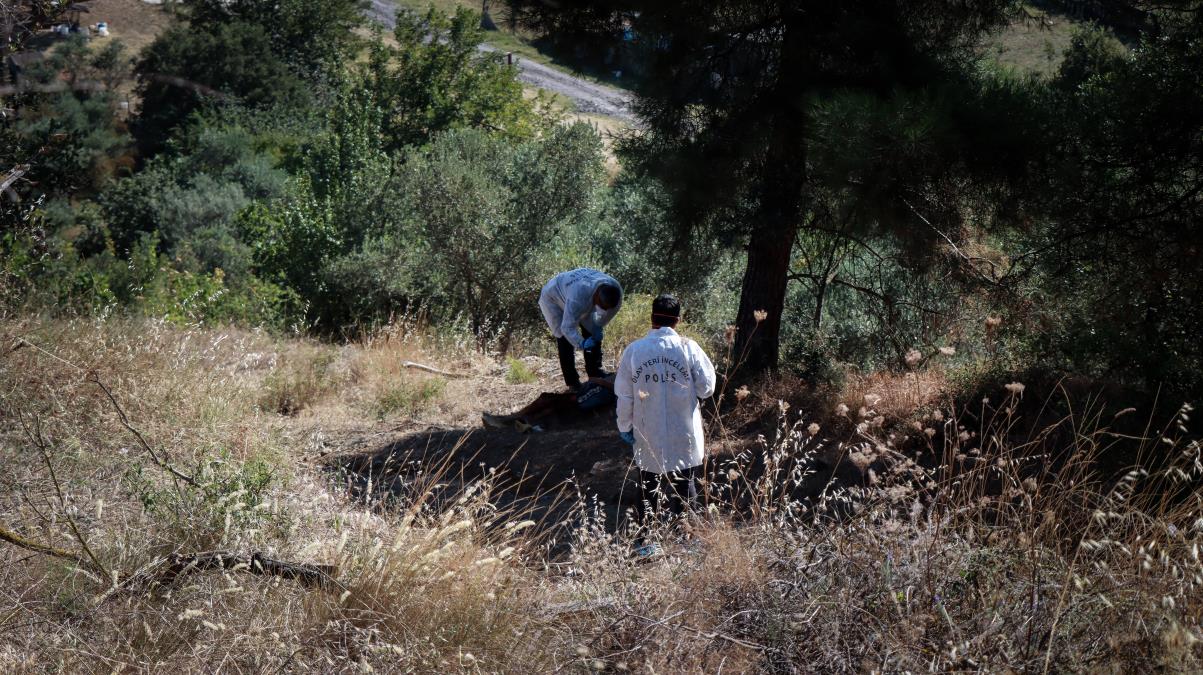 Bursa'da zeytinlikte erkek cesedi bulundu