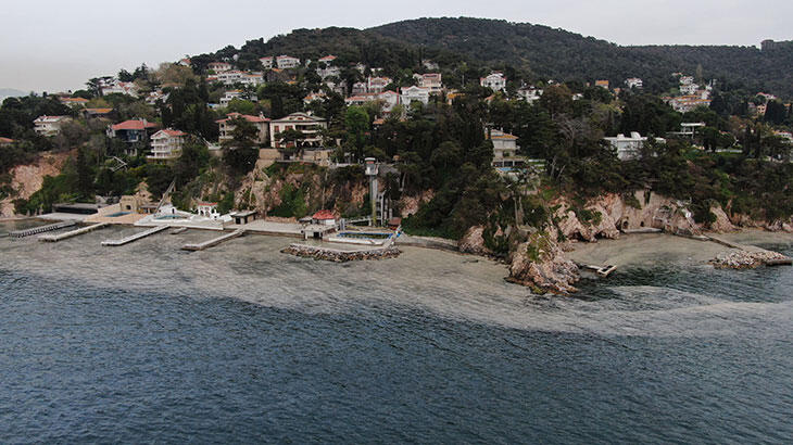 Büyükada'yı salya sardı