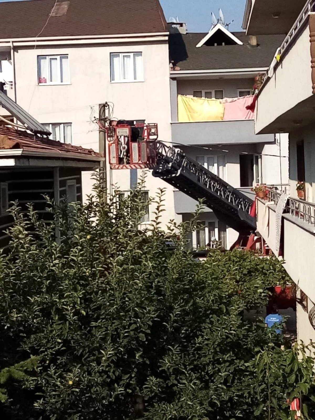 Çatıya sıkışan ebabil kuşunu itfaiye kurtardı