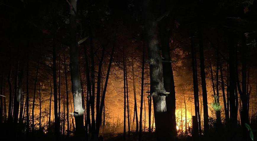 Çekmeköy'deki orman yangını söndürüldü