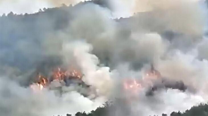 Çin'de yolcu uçağı düştü!