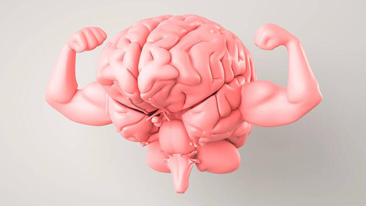 Çocukluktan yaşlılığa beyni zinde tutacak öneriler