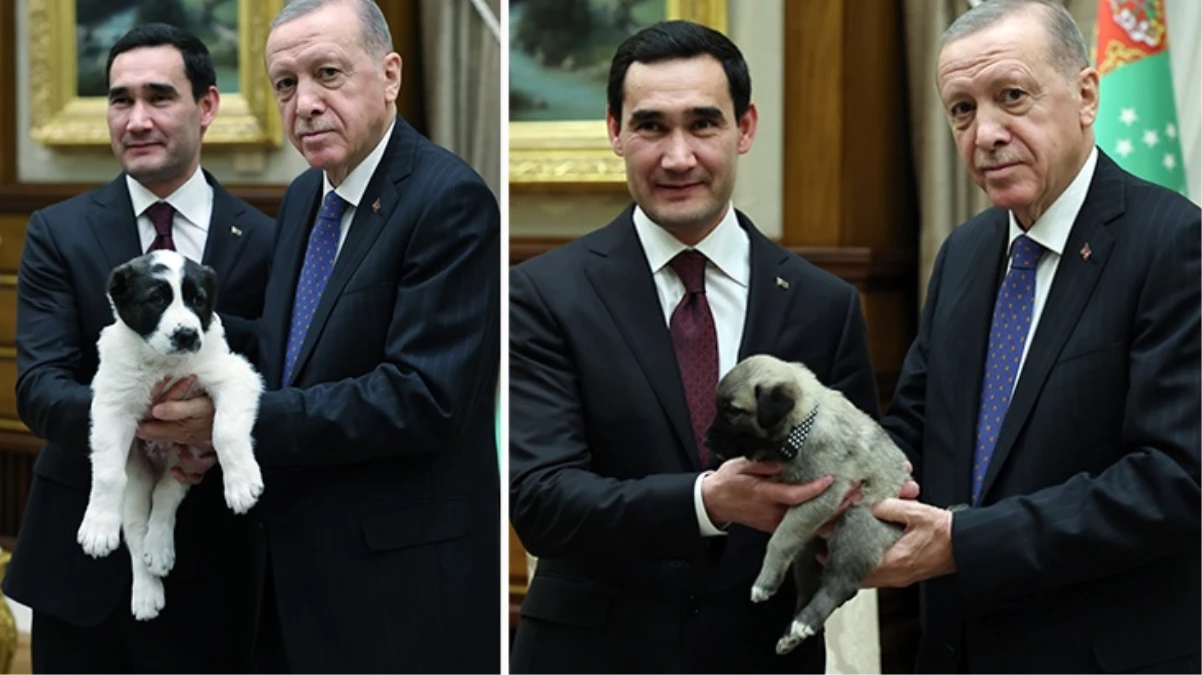 Cumhurbaşkanı Erdoğan ve Berdimuhamedov birbirlerine köpek hediye etti