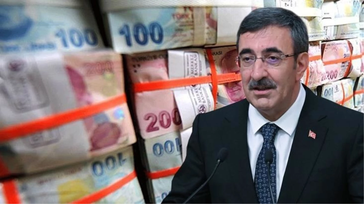 Cumhurbaşkanı Yardımcısı Cevdet Yılmaz: Gelir düzeyine göre vergilendirme öngörüyoruz