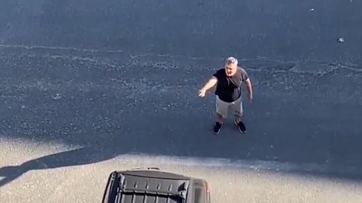 Daire 16'nın sokak köpeği isyanı! 