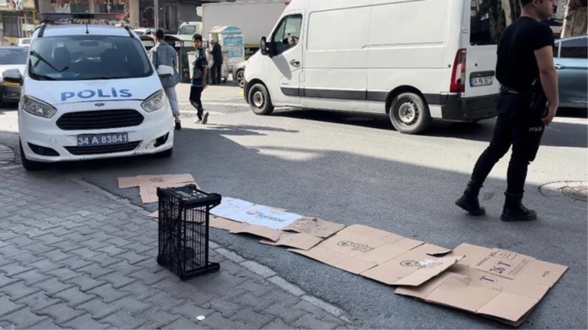Dikkatsiz sürücü 5 yaşındaki çocuğu ezerek öldürdü! Görgü tanıklarının iddiası vahim