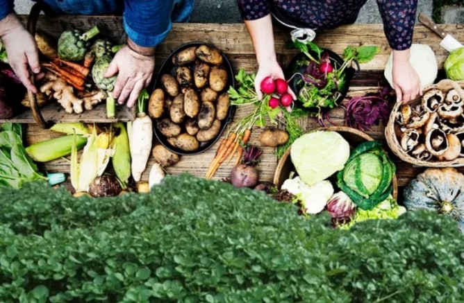 Dünyanın en sağlıklı sebzesi açıklandı! Faydasıyla doktorları bile şaşırttı