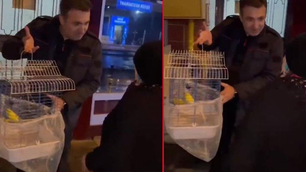 Düzce'de depremde mahsur kalan muhabbet kuşu 3 gün sonra kurtarıldı