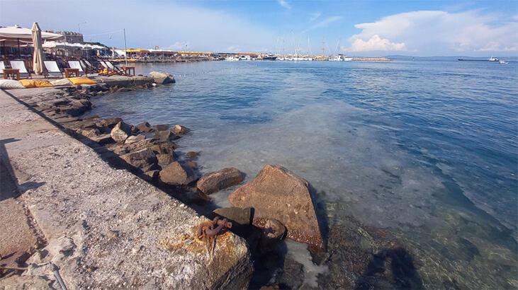 Ege Denizi'nde müsilaj paniği... Oraya kadar ulaştı