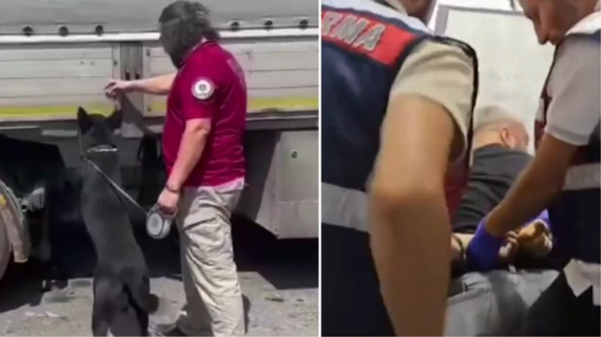 Emniyet'ten 4 ilde kritik operasyon! Baskınlarda 14 zehir taciri kıskıvrak yakalandı