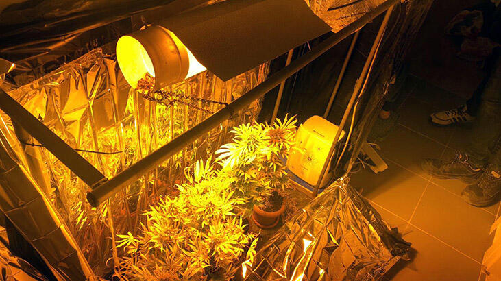 Ev değil zehir bahçesi! Suçüstü yakalandılar