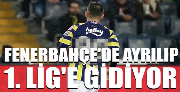 Fenerbahçe'den ayrılıp, 1. Lig'e gidiyor! Görüşmeler başladı