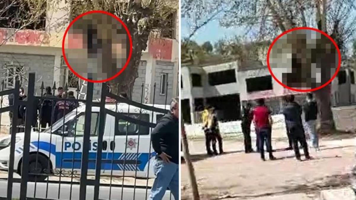 Gaziantep'te korkunç olay! Genç adamın cansız bedeni ağaca asılı halde bulundu