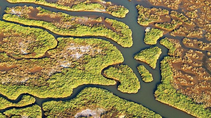 Gediz Deltası’nda UNESCO birlikteliği
