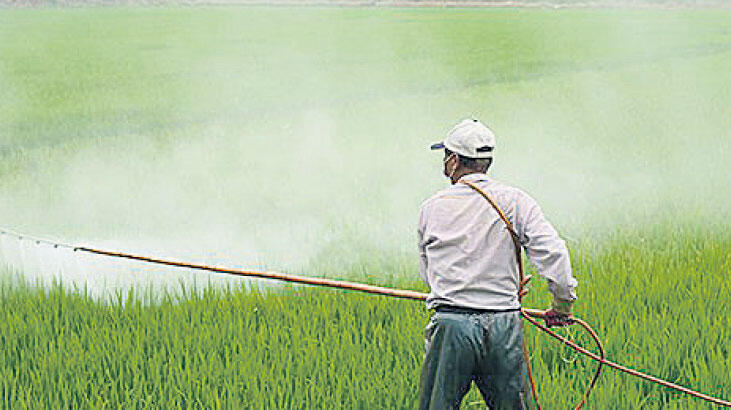 Glifosat’ı istinaf da reddetti