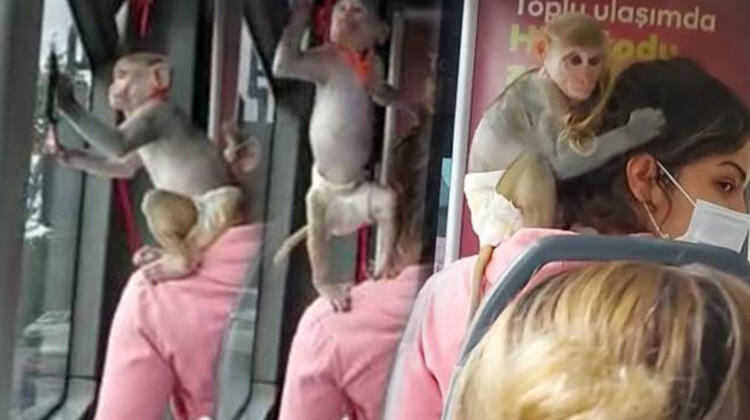 Gören telefona sarıldı! Otobüste ilginç anlar