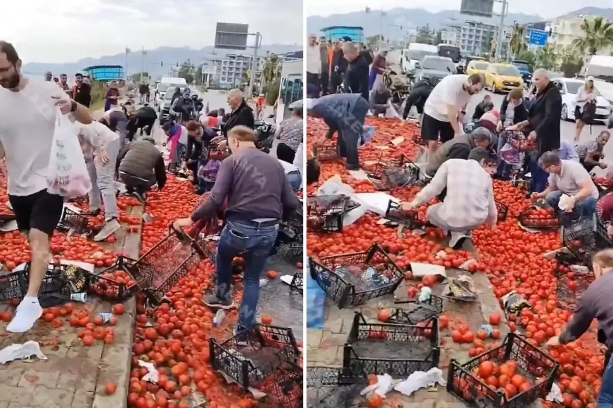 Görüntü Türkiye'den! Domates yüklü tır devrildi, vatandaşlar olay yerine akın etti