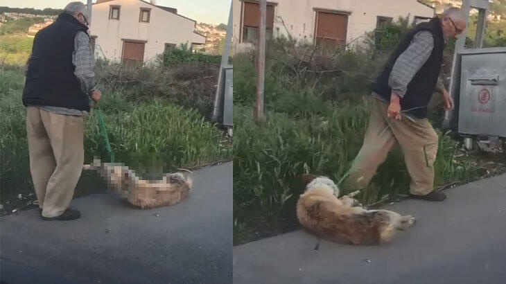 Görüntüleri infial yaratmıştı! Serbest bırakıldı