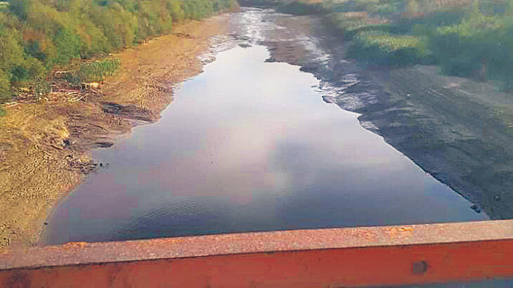 Göz göre göre yok olma tehlikesi! Can çekişiyor