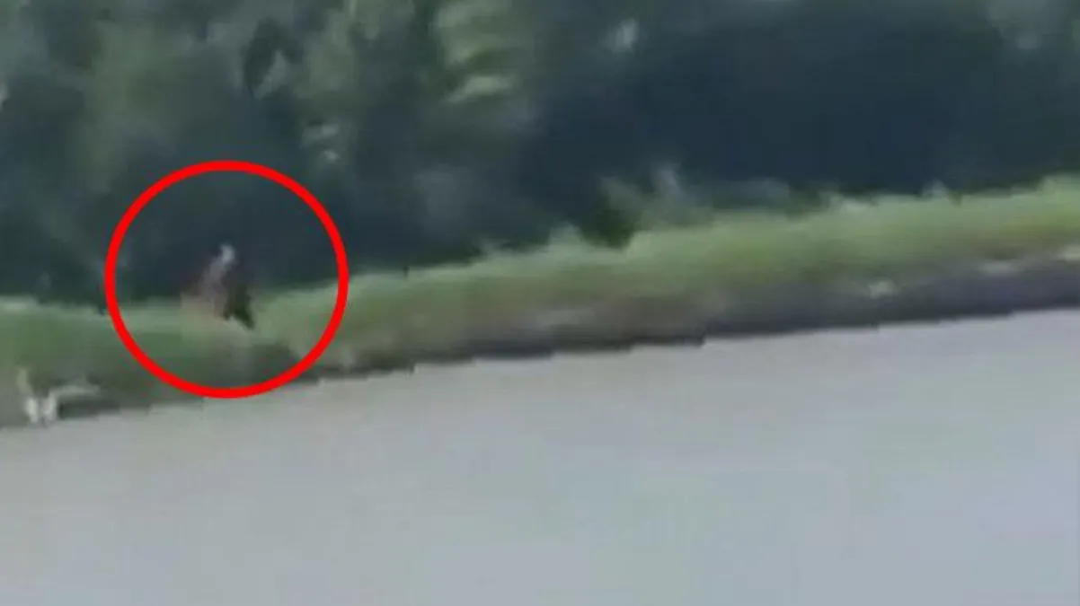 Haber merkezlerine bomba gibi düşen video: Yakından gördüm, sadece yarısı insandı