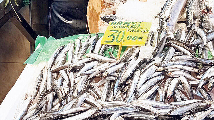 Hamsinin fiyatı boyunu aşıyor