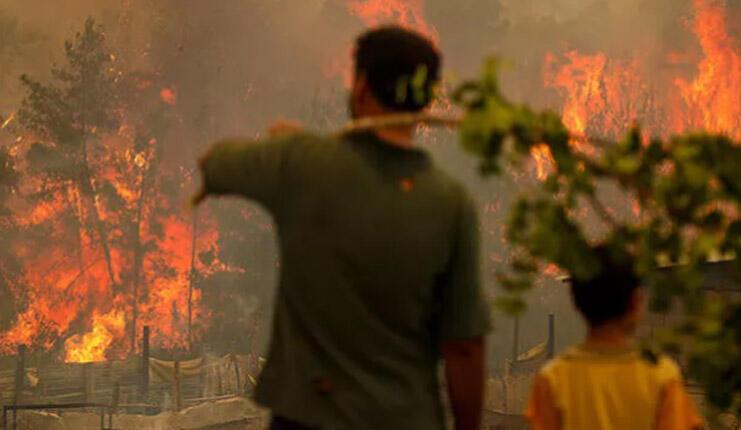 Hangi illerde orman yangını çıktı? 