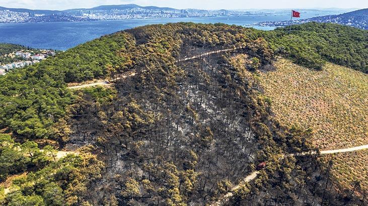 Heybeliada yangınında ihmal iddiası! ‘Ada 2 saatte yanar’