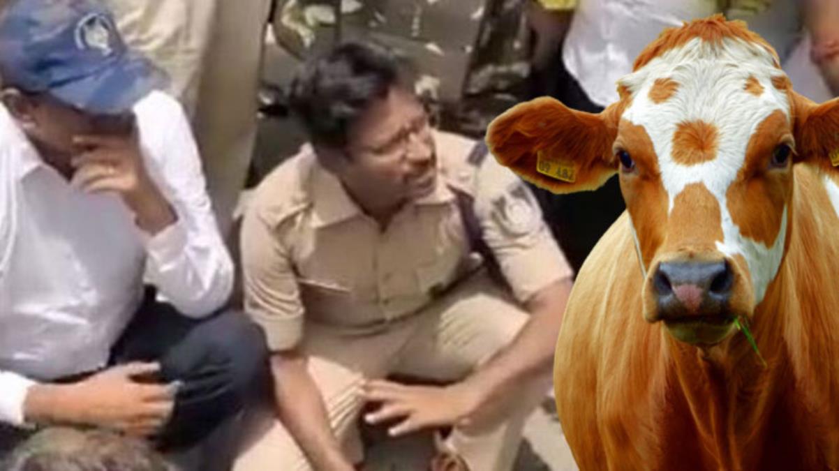 Hindistan'da kutsal olarak görülen ineği kesen şahıslar linç edilerek öldürüldü