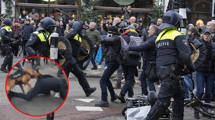 Hollanda sokakları karıştı! Polisten köpekli müdahale