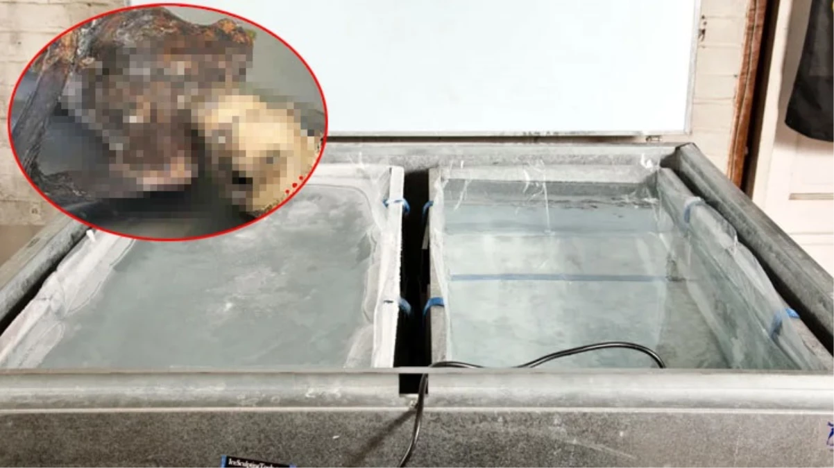 İş yerinde buzdolabının arkasına düşen adamın cesedi 10 yıl sonra bulundu