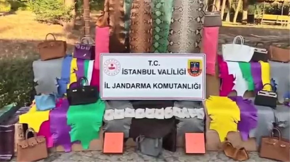 İstanbul'da kaçak imalathaneye baskın! Timsah, deve kuşu, yılan derileri ele geçirildi